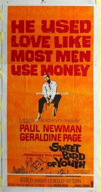n539 SWEET BIRD OF YOUTH three-sheet movie poster '62 Paul Newman, Page