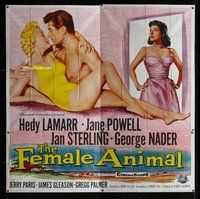n178 FEMALE ANIMAL six-sheet movie poster '58 Hedy Lamarr, Jane Powell