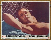 w317 COOL HAND LUKE movie lobby card #4 '67 best Paul Newman!
