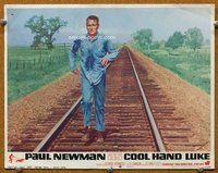 w319 COOL HAND LUKE movie lobby card #6 '67 Paul Newman classic!