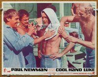 w318 COOL HAND LUKE movie lobby card #7 '67 Paul Newman barechested!