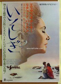 z609 SANDPIPER Japanese movie poster '65 cool Liz Taylor image!