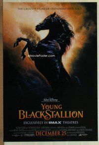 a181 YOUNG BLACK STALLION DS advance one-sheet movie poster '03 IMAX Disney