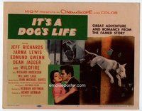 d173 IT'S A DOG'S LIFE movie title lobby card '55 Wildfire the wonder dog!