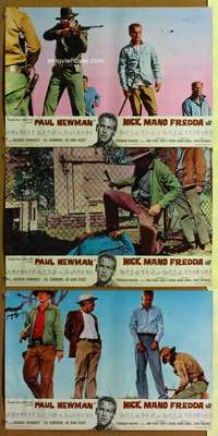 h010 COOL HAND LUKE 3 Italian photobusta movie posters '67 Paul Newman