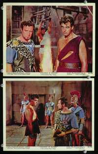 p444 COLOSSUS OF RHODES 2 Eng/US color vintage movie 8x10 stills '61 Leone