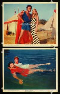 p489 JUPITER'S DARLING 2 Eng/US color vintage movie 8x10 stills '55 Keel