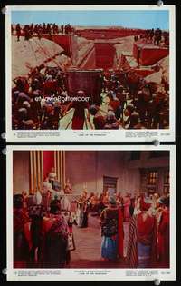 p492 LAND OF THE PHARAOHS 2 color vintage movie 8x10 stills '55 Howard Hawks