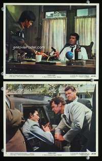 p500 MARLOWE 2 Eng/US color vintage movie 8x10 stills '69 Bruce Lee, Garner