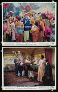 p510 PAPA'S DELICATE CONDITION 2 color vintage movie 8x10 stills '63 Gleason