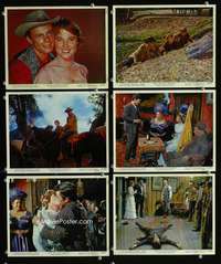 p234 RIDE THE HIGH COUNTRY 6 Eng/US color vintage movie 8x10 stills '62 Scott