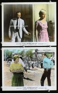 p532 SOUND & THE FURY 2 color vintage movie 8x10 stills '59 Brynner, Woodward