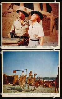 p551 VALLEY OF THE KINGS 2 color vintage movie 8x10 stills '54 Robert Taylor