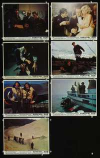 p201 SOLDIER OF ORANGE 7 color vintage movie English Front of House lobby cards '77 Hauer