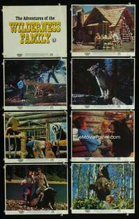 p027 ADVENTURES OF THE WILDERNESS FAMILY 8 color vintage movie English Front of House lobby cards '75