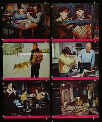 p219 CHRISTMAS TREE 6 color vintage movie 8x10 stills '69 Holden