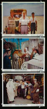 p375 ESCAPE FROM ZAHRAIN 3 color vintage movie 8x10 stills '61 Brynner