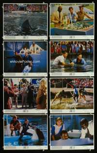 p092 JAWS 3-D 8 vintage movie color 8x10 mini lobby cards '83 Dennis Quaid