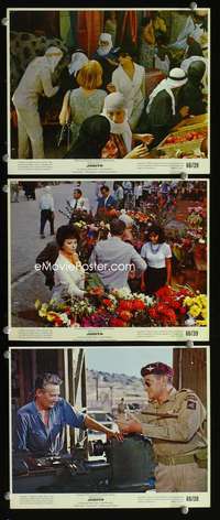 p386 JUDITH 3 color vintage movie 8x10 stills '66 Sophia Loren
