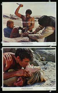 p524 SANDS OF THE KALAHARI 2 color vintage movie 8x10 stills '65