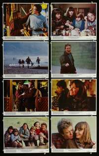 p139 SHOOT THE MOON 8 vintage movie color 8x10 mini lobby cards '82 Finney