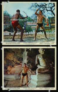 p542 TARZAN'S THREE CHALLENGES 2 Eng/US color vintage movie 8x10 stills '63