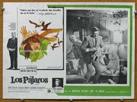 p163 BIRDS Mexican movie lobby card '63 Alfred Hitchcock, Rod Taylor