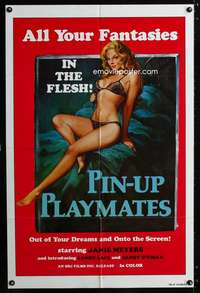c393 PIN-UP PLAYMATES one-sheet movie poster '70s fantasies in the flesh!