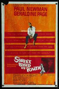 c118 SWEET BIRD OF YOUTH one-sheet movie poster '62 Paul Newman, Page