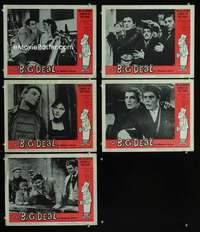 e457 BIG DEAL ON MADONNA STREET 5 movie lobby cards '61 Italian classic!