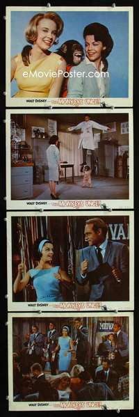 f117 MONKEY'S UNCLE 4 movie lobby cards '65 Annette Funnicello w/ape!