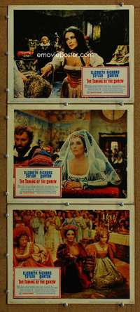 f495 TAMING OF THE SHREW 3 movie lobby cards '67 Liz Taylor, Burton