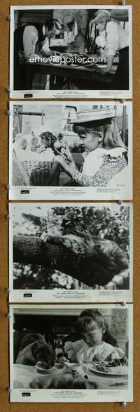 s311 THREE LIVES OF THOMASINA 8 8x10 movie stills '64 Disney cat!