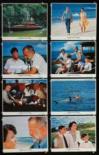 s538 ISLANDS IN THE STREAM 8 8x10 mini movie lobby cards '77 Hemingway
