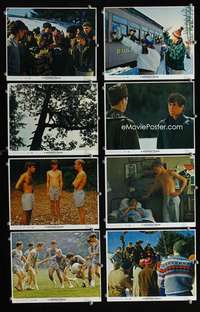 s572 SEPARATE PEACE 8 8x10 mini movie lobby cards '72 John Knowles classic!