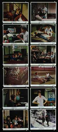 s448 STERILE CUCKOO 12 8x10 mini movie lobby cards '69 Liza Minnelli, John Nichols