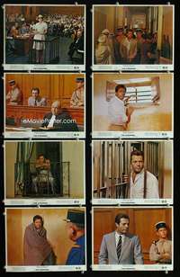 s576 STRANGER 8 8x10 mini movie lobby cards '68 Luchino Visconti, Mastroianni