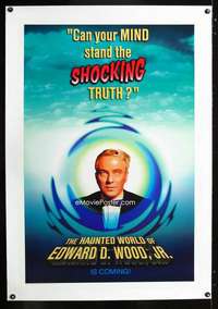 d241 HAUNTED WORLD OF EDWARD D WOOD JR. linen teaser one-sheet movie poster '96