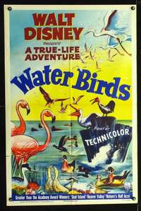 n612 WATER BIRDS one-sheet movie poster '52 Disney True Life Adventure!