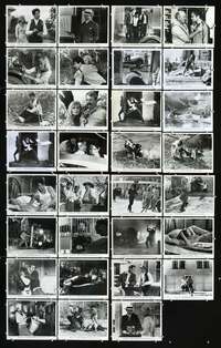 w011 BONNIE & CLYDE 31 8x10 movie stills '67 Warren Beatty, Faye Dunaway