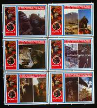 y296 KING KONG LIVES 6 Mexican movie lobby cards '86 huge unhappy ape!
