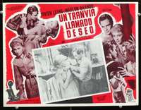 y417 STREETCAR NAMED DESIRE Mexican movie lobby card '51 Brando, Leigh