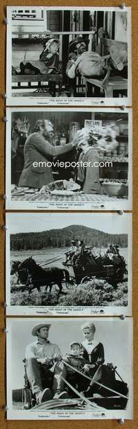 b455 NIGHT OF THE GRIZZLY 5 8x10 movie stills '66 Clint Walker, Hyer