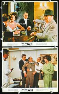 b206 COUNTESS FROM HONG KONG 2 color 8x10 movie stills '67 Brando