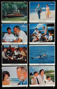 b063 ISLANDS IN THE STREAM 8 8x10 mini movie lobby cards '77 Hemingway