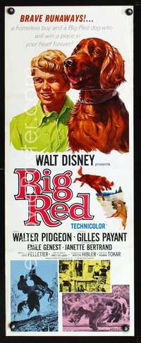 f222 BIG RED insert movie poster '62 Disney, Pigeon, Irish Setter!