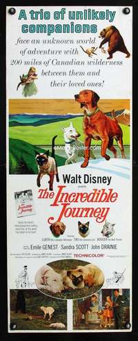 f379 INCREDIBLE JOURNEY insert movie poster '63 Walt Disney animals!