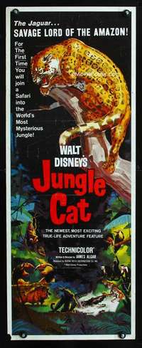 f386 JUNGLE CAT insert movie poster '60 great jaguar artwork!
