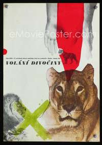 w258 BORN FREE Czech movie poster '66 cool different art of lion!