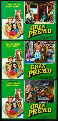 w317 NATIONAL VELVET 3 Italian photobusta movie posters '49 classic!